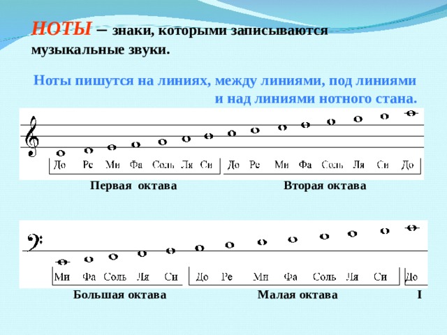 На каких линейках пишутся ноты. Ноты 2 октавы на нотном стане. Расположение нот 2 октавы.