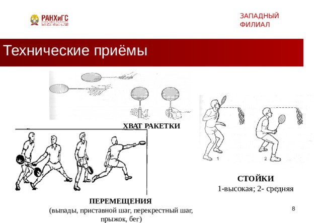 ЗАПАДНЫЙ ФИЛИАЛ Технические приёмы ХВАТ РАКЕТКИ СТОЙКИ 1-высокая; 2- средняя ПЕРЕМЕЩЕНИЯ (выпады, приставной шаг, перекрестный шаг, прыжок, бег)   