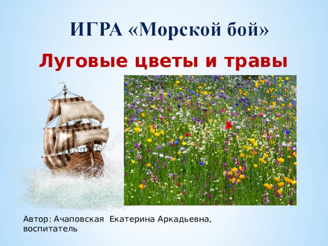 Луговые цветы и травы Автор: Ачаповская Екатерина Аркадьевна, воспитатель 