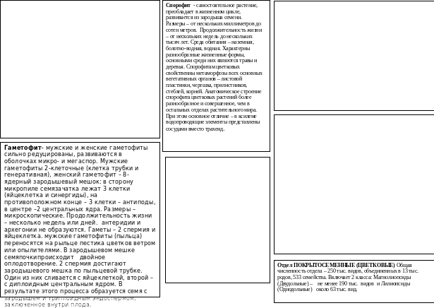 Опорная схема местоимение 2 класс