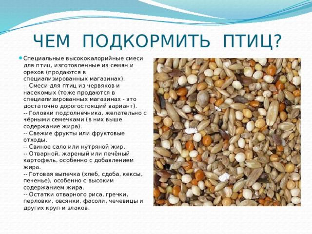  ЧЕМ ПОДКОРМИТЬ ПТИЦ? Специальные высококалорийные смеси для птиц, изготовленные из семян и орехов (продаются в специализированных магазинах).  -- Смеси для птиц из червяков и насекомых (тоже продаются в специализированных магазинах - это достаточно дорогостоящий вариант).  -- Головки подсолнечника, желательно с чёрными семечками (в них выше содержание жира).  -- Свежие фрукты или фруктовые отходы.  -- Свиное сало или нутряной жир.  -- Отварной, жареный или печёный картофель, особенно с добавлением жира.  -- Готовая выпечка (хлеб, сдоба, кексы, печенье), особенно с высоким содержанием жира.   -- Остатки отварного риса, гречки, перловки, овсянки, фасоли, чечевицы и других круп и злаков. 