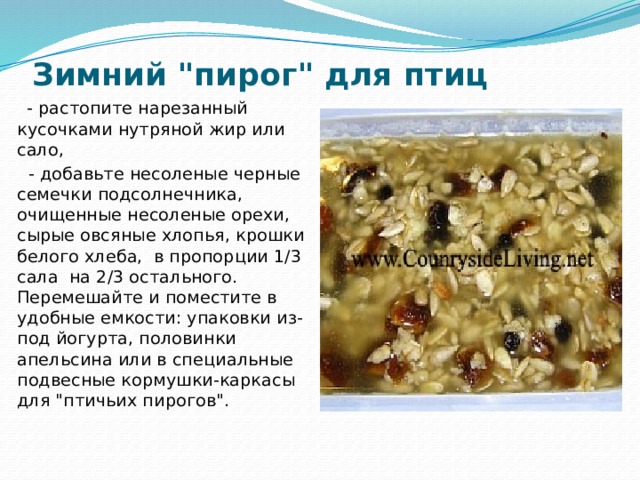 Зимний 