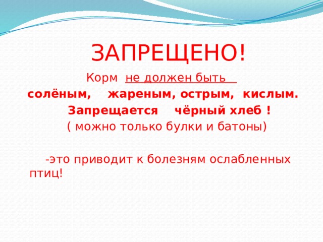  ЗАПРЕЩЕНО! Корм не должен быть  солёным, жареным, острым, кислым.  Запрещается чёрный хлеб !  ( можно только булки и батоны)  -это приводит к болезням ослабленных птиц! 