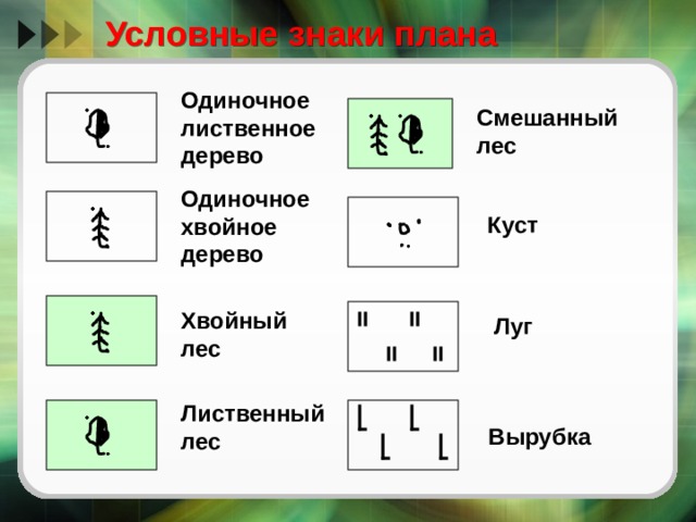 Как обозначается дерево на плане