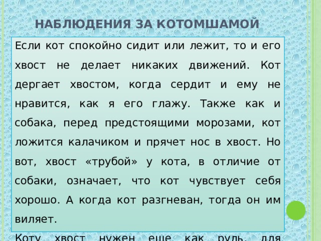 Наблюдения за котомШамой Если кот спокойно сидит или лежит, то и его хвост не делает никаких движений. Кот дергает хвостом, когда сердит и ему не нравится, как я его глажу. Также как и собака, перед предстоящими морозами, кот ложится калачиком и прячет нос в хвост. Но вот, хвост «трубой» у кота, в отличие от собаки, означает, что кот чувствует себя хорошо. А когда кот разгневан, тогда он им виляет. Коту хвост нужен еще как руль, для успешных прыжков на свою жертву. 