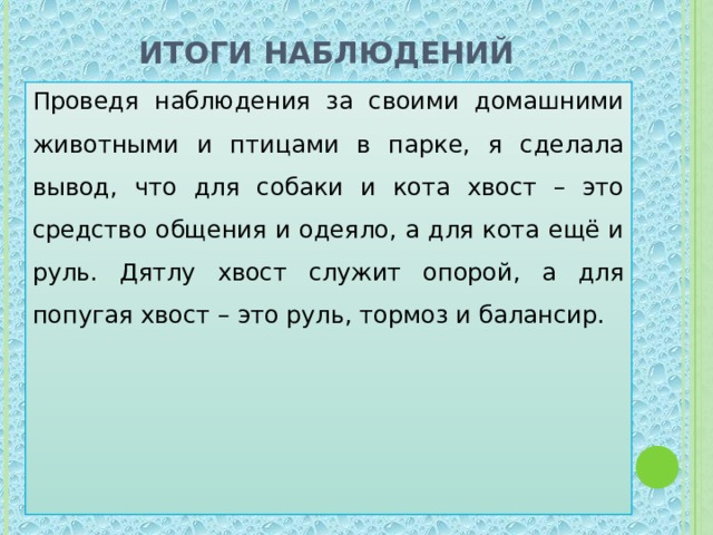 Итоги наблюдений Проведя наблюдения за своими домашними животными и птицами в парке, я сделала вывод, что для собаки и кота хвост – это средство общения и одеяло, а для кота ещё и руль. Дятлу хвост служит опорой, а для попугая хвост – это руль, тормоз и балансир. 