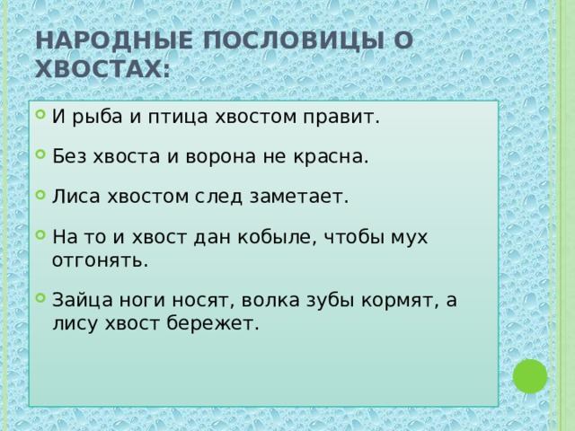 Народные пословицы о хвостах: И рыба и птица хвостом правит. Без хвоста и ворона не красна. Лиса хвостом след заметает. На то и хвост дан кобыле, чтобы мух отгонять. Зайца ноги носят, волка зубы кормят, а лису хвост бережет. 