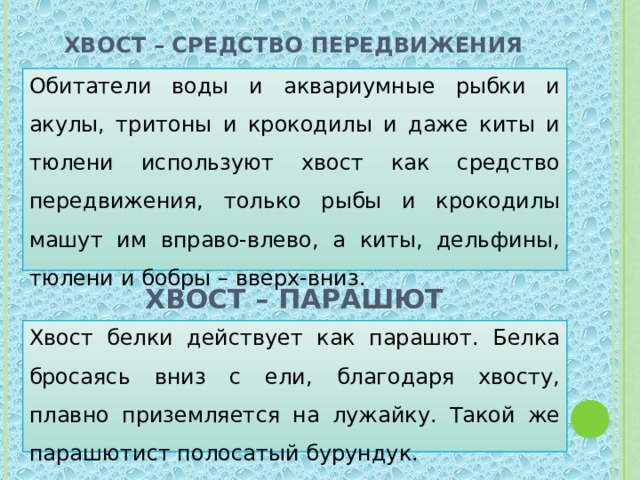  Хвост – средство передвижения  Обитатели воды и аквариумные рыбки и акулы, тритоны и крокодилы и даже киты и тюлени используют хвост как средство передвижения, только рыбы и крокодилы машут им вправо-влево, а киты, дельфины, тюлени и бобры – вверх-вниз. Хвост – парашют Хвост белки действует как парашют. Белка бросаясь вниз с ели, благодаря хвосту, плавно приземляется на лужайку. Такой же парашютист полосатый бурундук. 