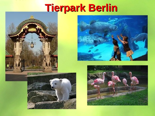 Tierpark Berlin 