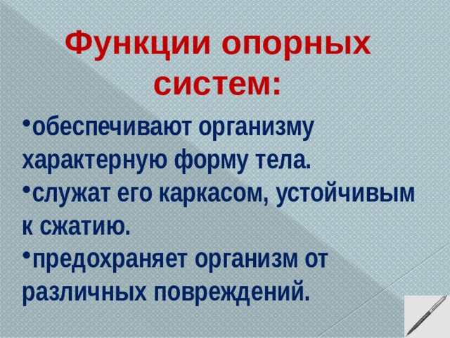 Скелет опора организма 6 класс биология презентация