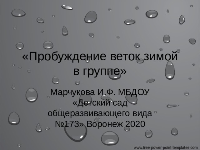 «Пробуждение веток зимой в группе» Марчукова И.Ф. МБДОУ «Детский сад общеразвивающего вида №173» Воронеж 2020 