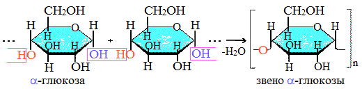 Схема строения крахмала