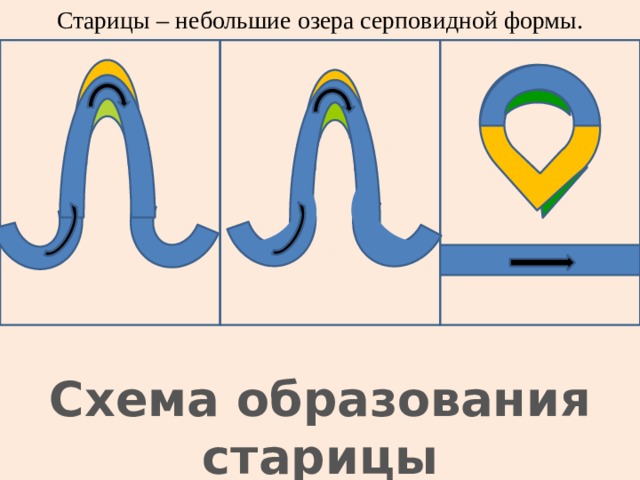 Старицы – небольшие озера серповидной формы. Схема образования старицы 