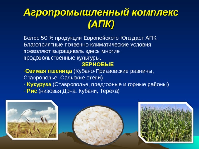 Агропромышленный комплекс (АПК) Более 50 % продукции Европейского Юга дает АПК. Благоприятные почвенно-климатические условия позволяют выращивать здесь многие продовольственные культуры. ЗЕРНОВЫЕ Озимая пшеница (Кубано-Приазовские равнины, Ставрополье, Сальские степи)  Кукуруза (Ставрополье, предгорные и горные районы)  Рис (низовья Дона, Кубани, Терека) 