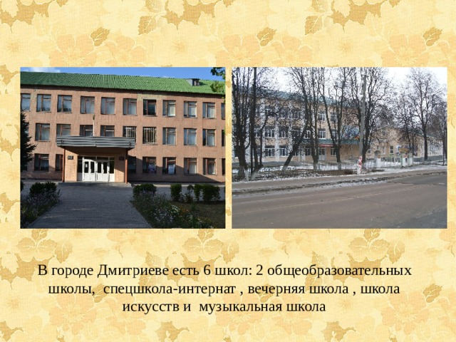 В городе Дмитриеве есть 6 школ: 2 общеобразовательных школы, спецшкола-интернат , вечерняя школа , школа искусств и музыкальная школа  