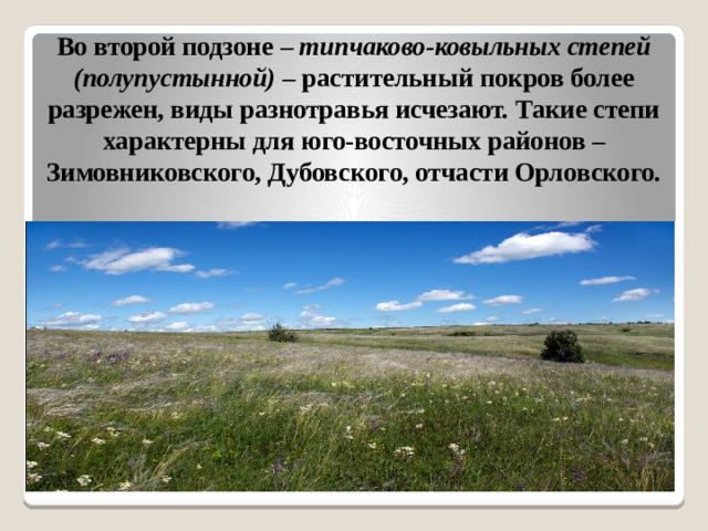 Во второй подзоне – типчаково-ковыльных степей (полупустынной) – растительный покров более разрежен, виды разнотравья исчезают. Такие степи характерны для юго-восточных районов – Зимовниковского, Дубовского, отчасти Орловского.   