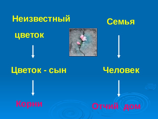 Неизвестный  цветок Семья Человек Цветок - сын Корни  Отчий дом