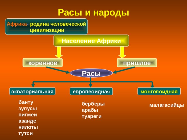 Таблица расы 7 класс