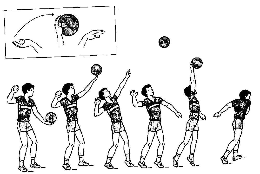 Техника передачи и подачи в волейболе в картинках