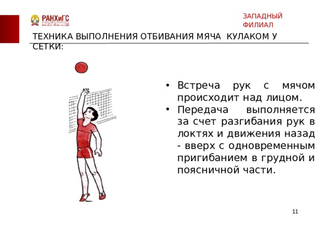 ЗАПАДНЫЙ ФИЛИАЛ ТЕХНИКА ВЫПОЛНЕНИЯ ОТБИВАНИЯ МЯЧА КУЛАКОМ У СЕТКИ: Встреча рук с мячом происходит над лицом. Передача выполняется за счет разгибания рук в локтях и движения назад - вверх с одновременным пригибанием в грудной и поясничной части.  