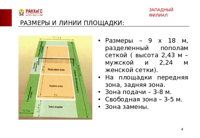 ЗАПАДНЫЙ ФИЛИАЛ РАЗМЕРЫ И ЛИНИИ ПЛОЩАДКИ: Размеры – 9 х 18 м, разделенный пополам сеткой ( высота 2,43 м – мужской и 2,24 м женской сетки). На площадки передняя зона, задняя зона. Зона подачи – 3-8 м. Свободная зона – 3-5 м. Зона замены.  