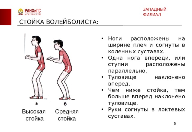 ЗАПАДНЫЙ ФИЛИАЛ СТОЙКА ВОЛЕЙБОЛИСТА: Ноги расположены на ширине плеч и согнуты в коленных суставах. Одна нога впереди, или ступни расположены параллельно. Туловище наклонено вперед. Чем ниже стойка, тем больше вперед наклонено туловище. Руки согнуты в локтевых суставах. Высокая Средняя стойка стойка  