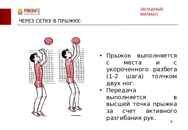 ЗАПАДНЫЙ ФИЛИАЛ ЧЕРЕЗ СЕТКУ В ПРЫЖКЕ: Прыжок выполняется с места и с укороченного разбега (1-2 шага) толчком двух ног. Передача выполняется в высшей точка прыжка за счет активного разгибания рук.  