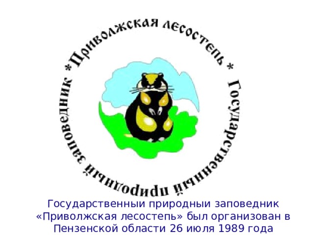 Государственный природный заповедник «Приволжская лесостепь» был организован в Пензенской области 26 июля 1989 года 