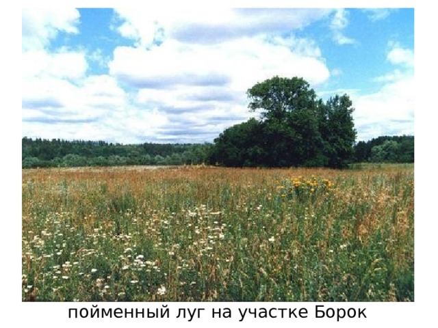 река Кадада на участке Борок 