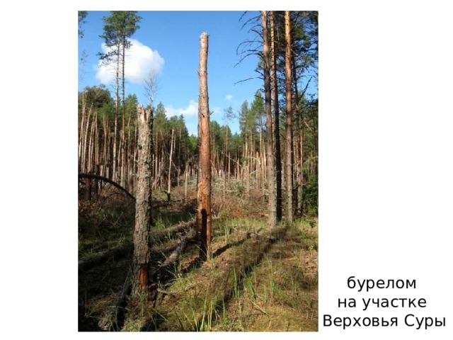 Верховья  Суры 