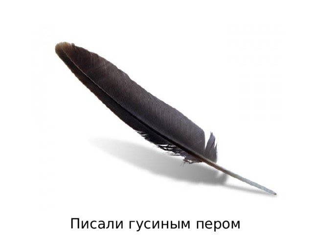 Писали гусиным пером 