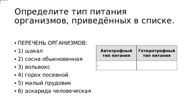 Какой тип питания характерен для лошади