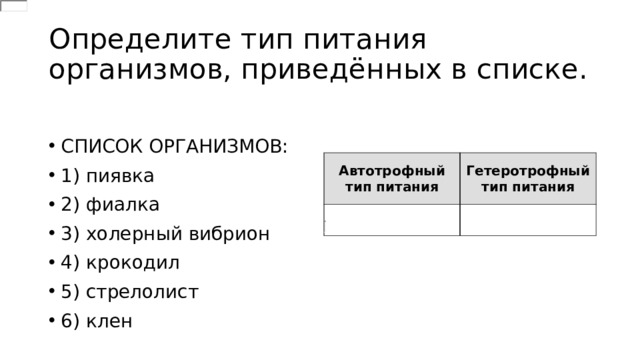 Какой тип питания характерен для нивяника. Определите Тип питания организмов. Определите Тип питания организмов приведённых в списке. 3 .Определите Тип питания организмов ,. Автотрофный Тип питания и гетеротрофный Тип питания ВПР.