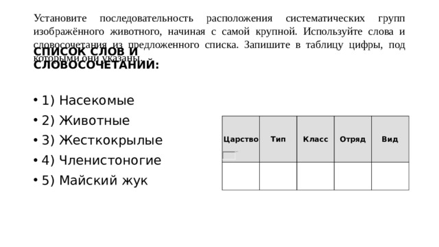 Установите последовательность расположения систематических групп изображённого животного, начиная с самой крупной. Используйте слова и словосочетания из предложенного списка. Запишите в таблицу цифры, под которыми они указаны. СПИСОК СЛОВ И СЛОВОСОЧЕТАНИЙ:  1) Насекомые 2) Животные 3) Жесткокрылые 4) Членистоногие 5) Майский жук Царство Тип Класс Отряд Вид 