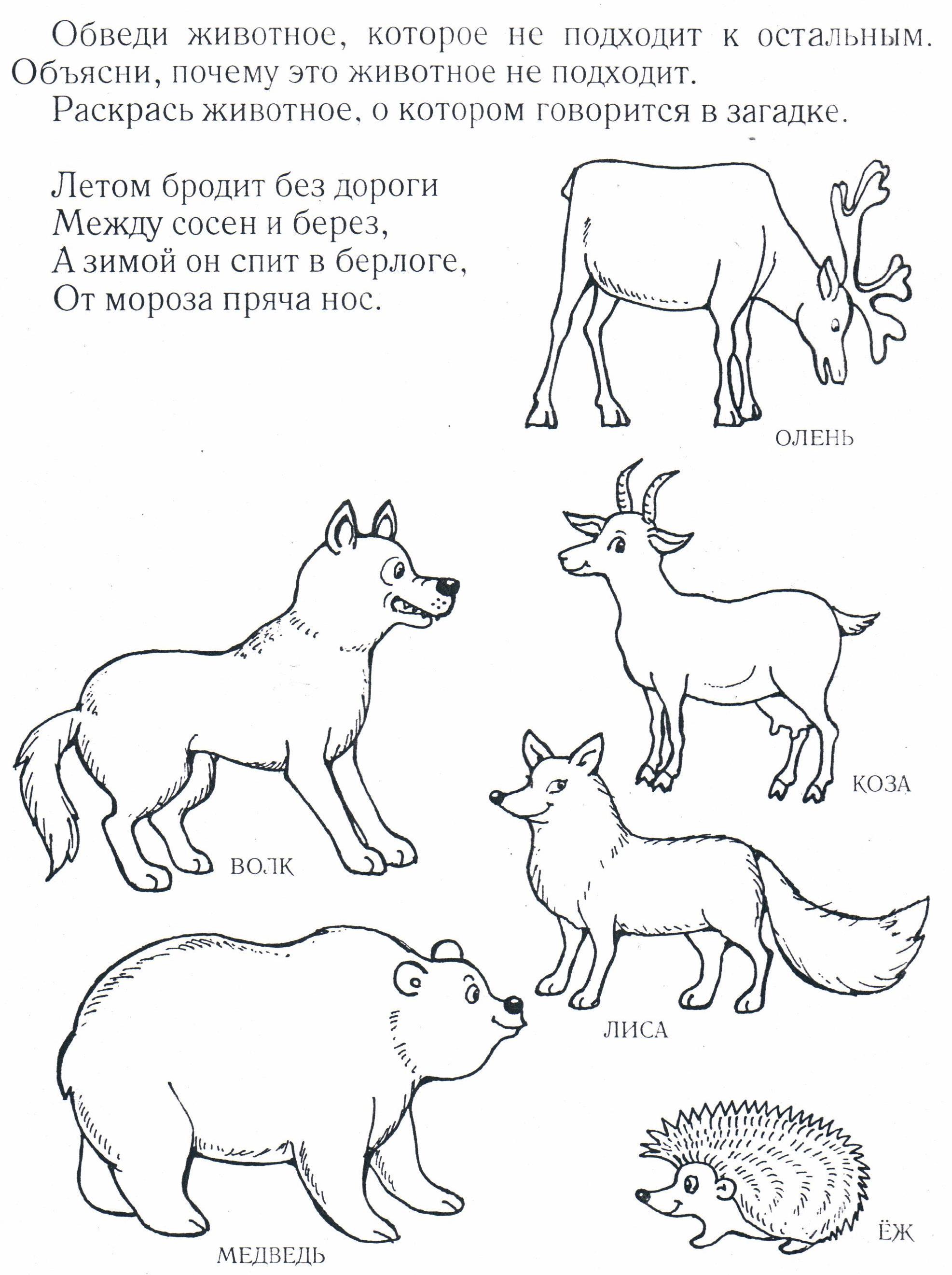 Логопедическое занятие дикие животные весной