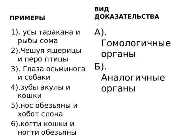 ВИД ДОКАЗАТЕЛЬСТВА ПРИМЕРЫ А). Гомологичные органы Б). Аналогичные органы 1). усы таракана и рыбы сома 2).Чешуя ящерицы и перо птицы 3). Глаза осьминога и собаки 4).зубы акулы и кошки 5).нос обезьяны и хобот слона 6).когти кошки и ногти обезьяны 