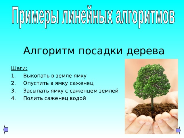  Алгоритм посадки дерева Шаги: Выкопать в земле ямку Опустить в ямку саженец Засыпать ямку с саженцем землей Полить саженец водой  