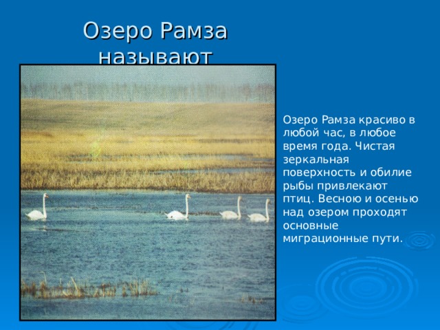 Урок озеро. Озеро Рамза. Озеро Рамза Тамбовская. Озеро Рамза фото. Озера Рамза сообщение.