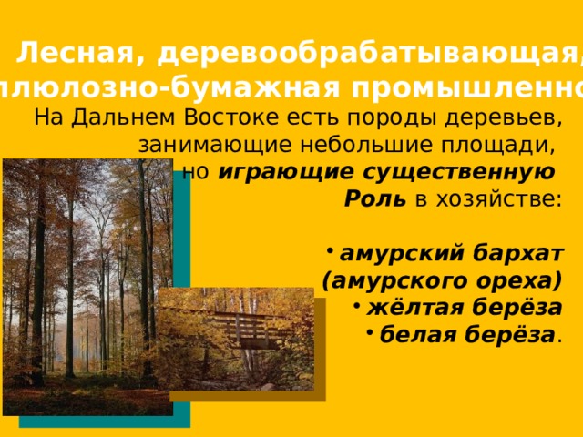 Лесная, деревообрабатывающая, целлюлозно-бумажная промышленность. На Дальнем Востоке есть породы деревьев, занимающие небольшие площади, но играющие существенную Роль в хозяйстве: амурский бархат амурский бархат амурский бархат амурский бархат амурский бархат    (амурского ореха) жёлтая берёза жёлтая берёза жёлтая берёза жёлтая берёза белая берёза . 