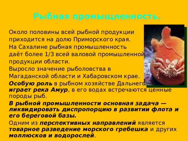 Рыбная промыщленность.  Около половины всей рыбной продукции  приходится на долю Приморского края.  На Сахалине рыбная промышленность  даёт более 1/3 всей валовой промышленной  продукции области.  Выросло значение рыболовства в  Магаданской области и Хабаровском крае.  Особую роль в рыбном хозяйстве Дальнего Востока играет река Амур , в его водах встречаются ценные породы рыб.  В рыбной промышленности основная задача — ликвидировать диспропорцию в развитии флота и его береговой базы.  Одним из перспективных направлений является товарное разведение морского гребешка и других моллюсков и водорослей . 