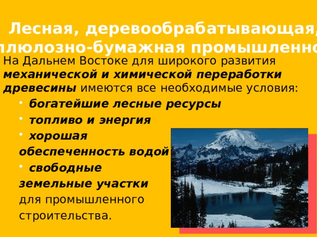 Презентация дальневосточный экономический район география 9 класс