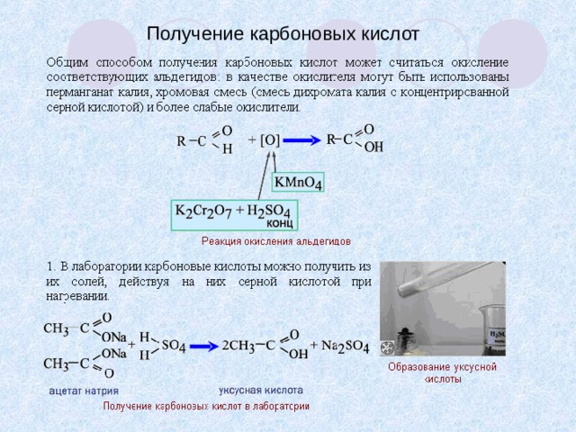 Карбоновые кислоты презентация 10 класс презентация