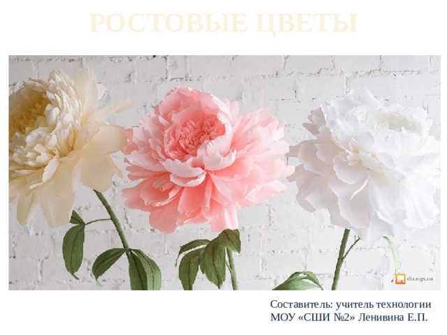 РОСТОВЫЕ ЦВЕТЫ   Составитель: учитель технологии МОУ «СШИ №2» Ленивина Е.П. 