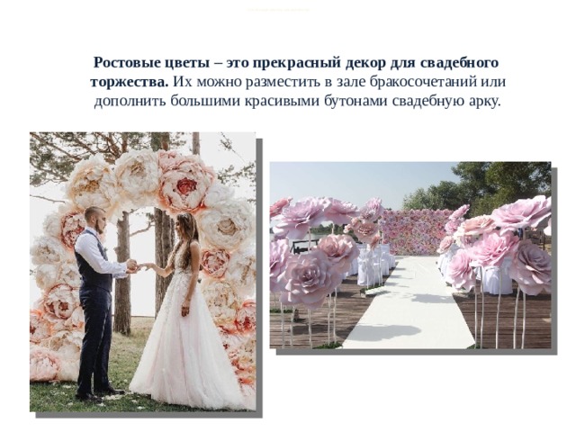  РОСТОВЫЕ ЦВЕТЫ. НАЗНАЧЕНИЕ.  Ростовые цветы – это прекрасный декор для свадебного торжества.  Их можно разместить в зале бракосочетаний или дополнить большими красивыми бутонами свадебную арку. 