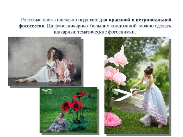  РОСТОВЫЕ ЦВЕТЫ. НАЗНАЧЕНИЕ  Ростовые цветы идеально подходят  для красивой и нетривиальной фотосессии . На фоне шикарных больших композиций можно сделать шикарные тематические фотоснимки.   