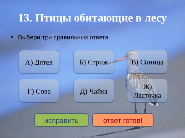 Тест по биологии на тему птицы