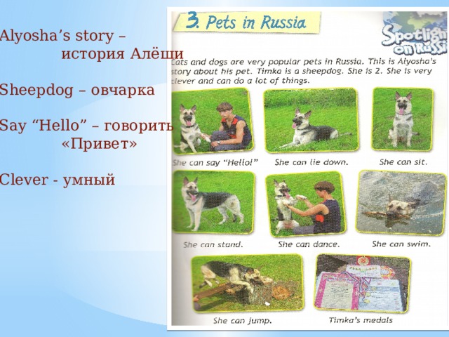 Pets in russia 2 класс проект