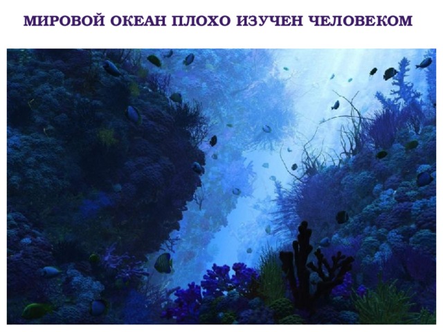 Мировой океан плохо изучен человеком 