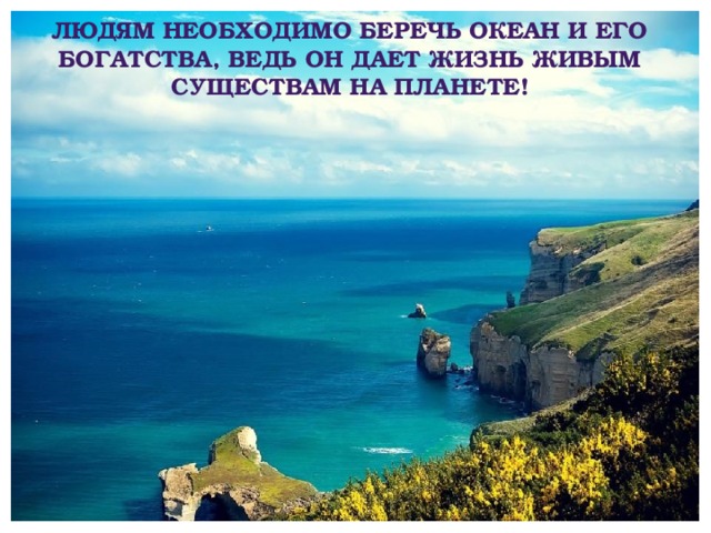 Людям необходимо беречь океан и его богатства, ведь он дает жизнь живым существам на планете! 
