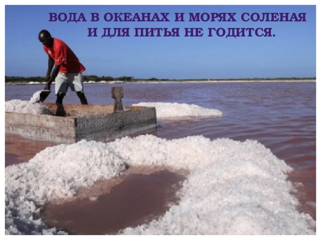 Вода в океанах и морях соленая и для питья не годится. 